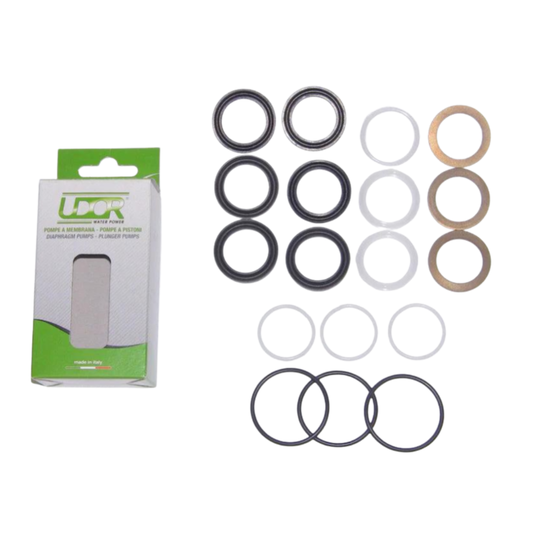 Jetwave Seal Kit (minor) - Kit 10 Suite 4060 PSI /21 LPM Udor