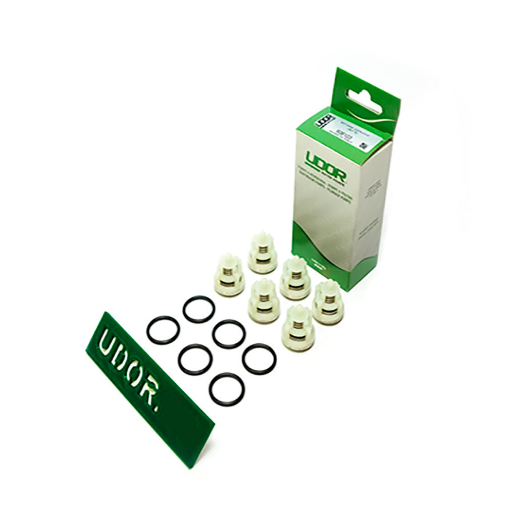 Udor/Jetwave Premium Pump Valve Kit