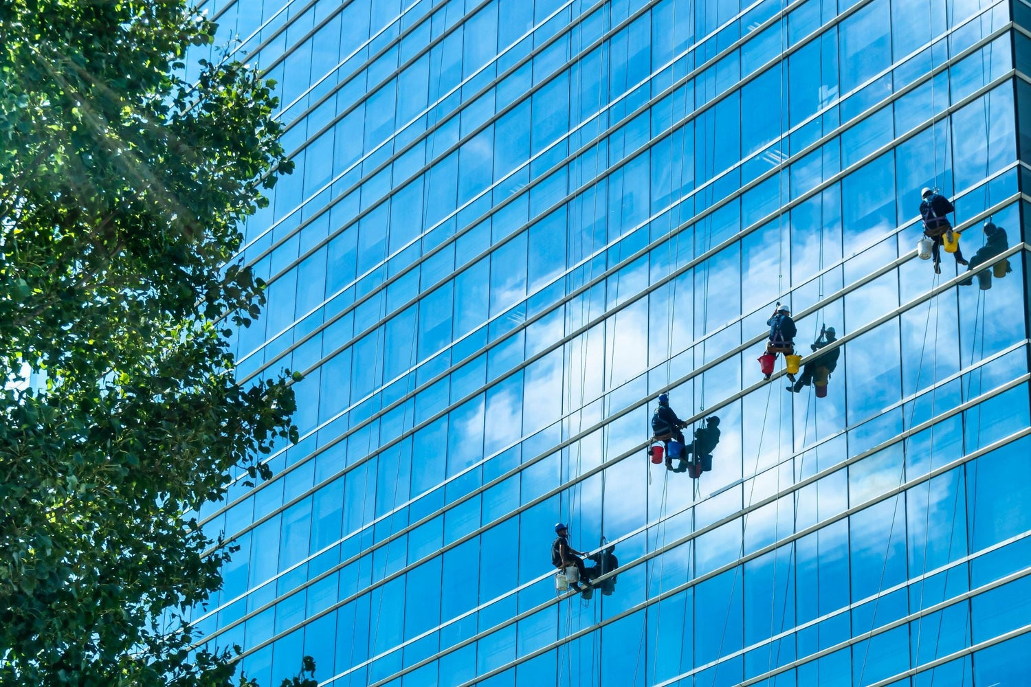 Sustainable Cleaning Practices for Commercial Window Cleaners