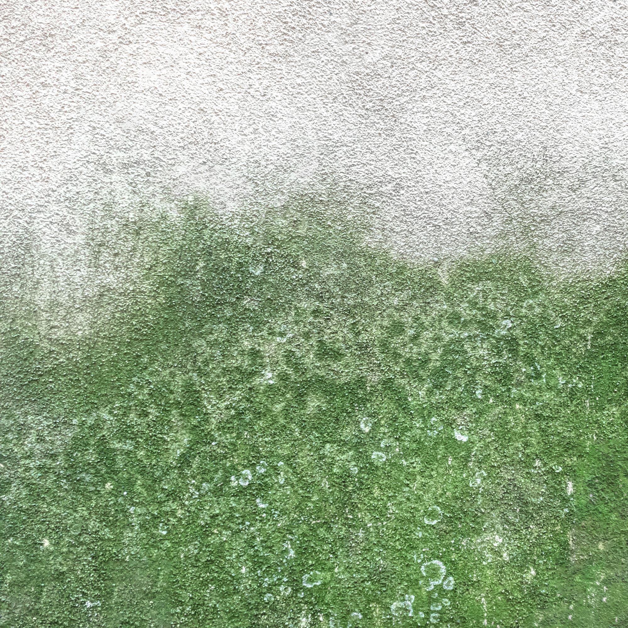 Soft Washing vs. Pressure Washing: Which Method is Best for Your Home?