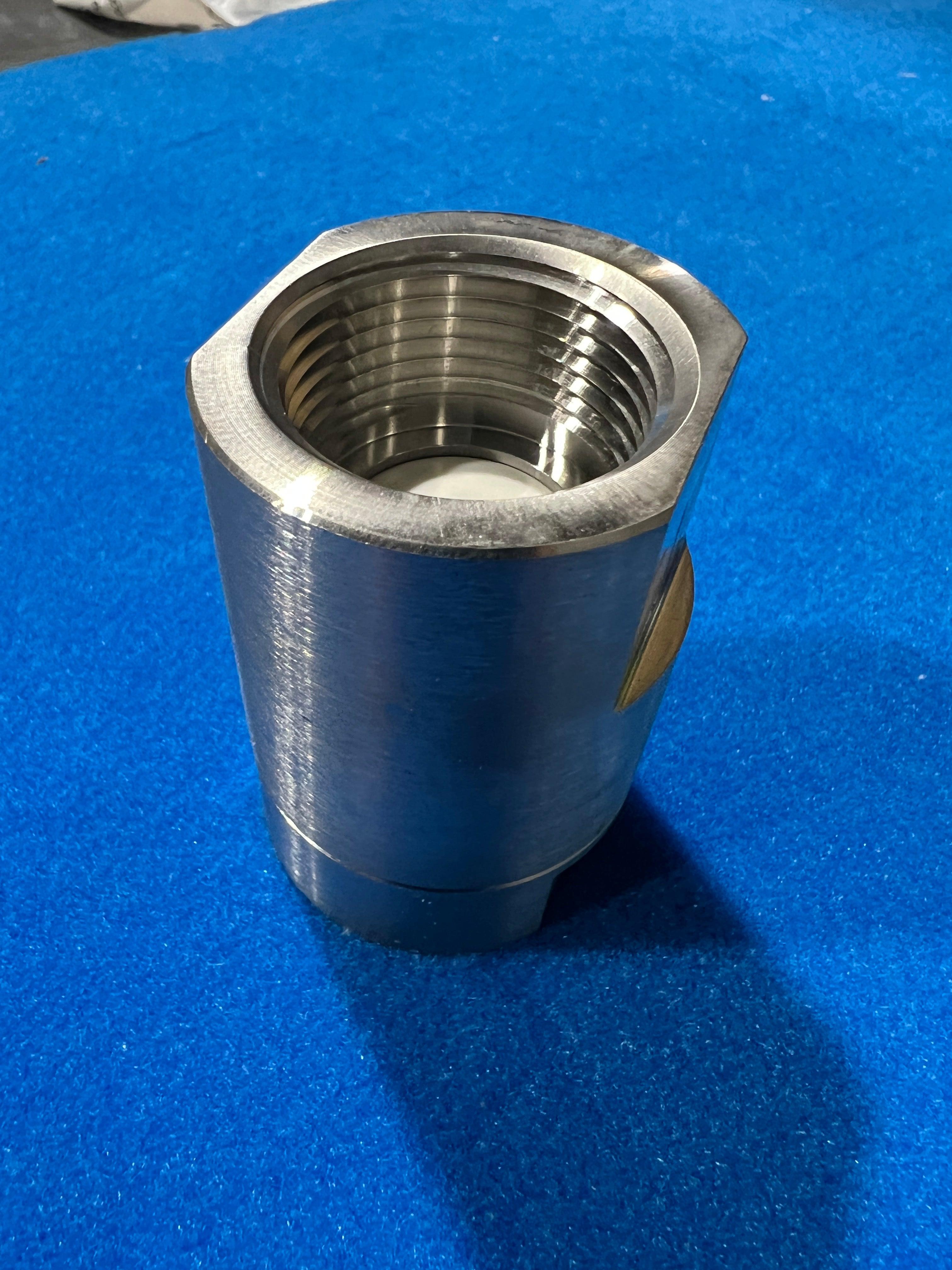 Water Dragon Master Check Valve 1 Inch - Suit Booster Pump